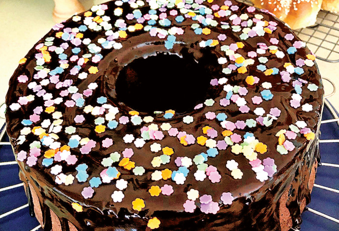 עוגת שוקולד (צילום:  פסקל פרץ-רובין)