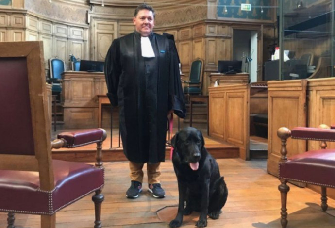 הכלב לול בשירות בית המשפט (צילום:  Getty images)
