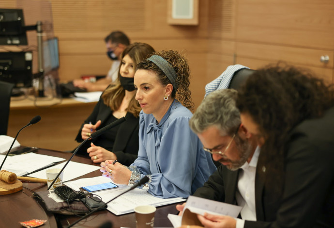 יו"ר הוועדה המסדרת, עידית סילמן (צילום:  נועם מושקוביץ, דוברות הכנסת)
