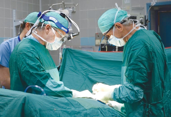 ניתוח השתלת איברים (צילום:  בית החולים בילינסון)
