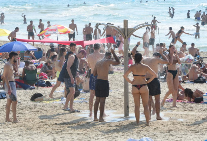 מצטננים מהחום הכבד בחוף בוגרשוב בתל אביב (צילום:  אבשלום ששוני)