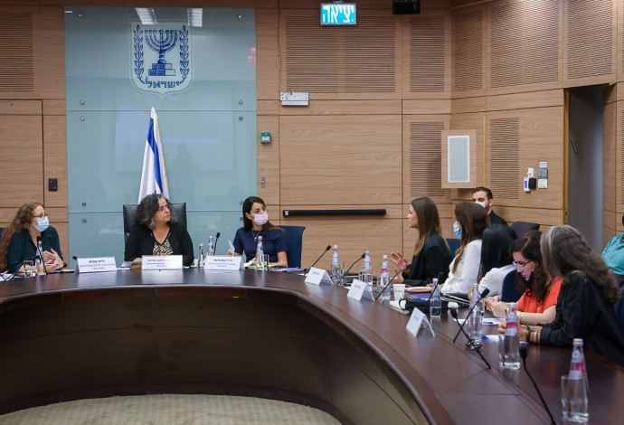 הוועדה לקידום מעמד האישה ולשיוויון מגדרי (צילום:  דוברות הכנסת, נועם מושקוביץ)