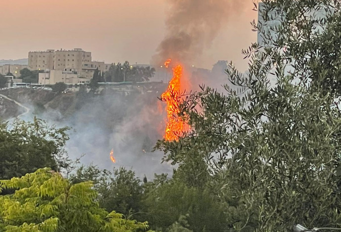 שריפה בגבעת שאול בירושלים (צילום:  דורון ישי)