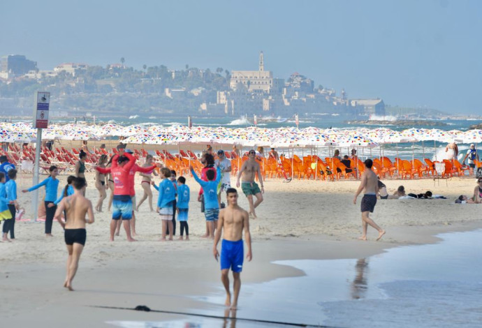 קיץ בישראל (צילום:  אבשלום ששוני)