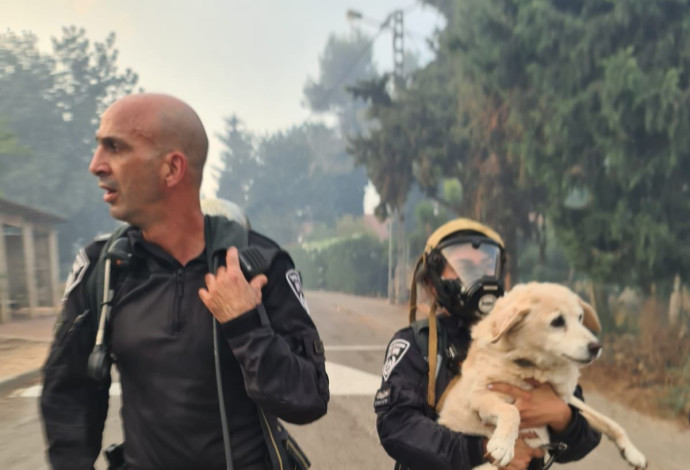 שוטרי ושוטרות היס"מ של מחוז ירושלים מחלצים כלבים מהשריפה בהרי ירושלים (צילום:  דוברות המשטרה)