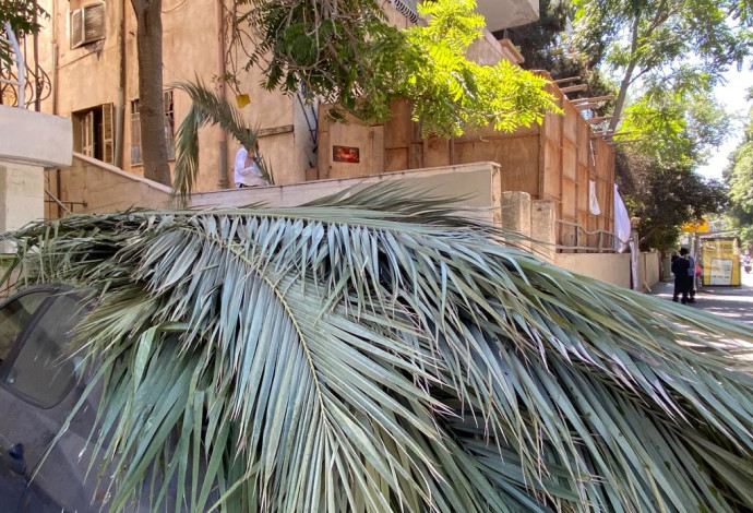 הכנות לבניית סוכה לקראת החג (צילום:  אבשלום ששוני)