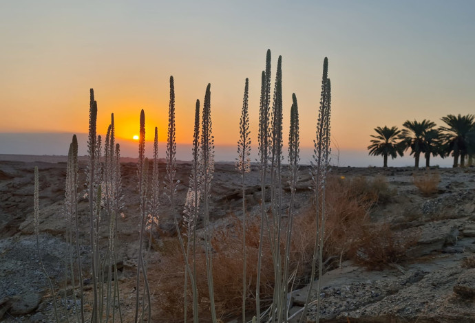 מזג אוויר סתווי במדבר, סמוך למושב עידן (צילום:  רועי גלילי, הערבה התיכונה)