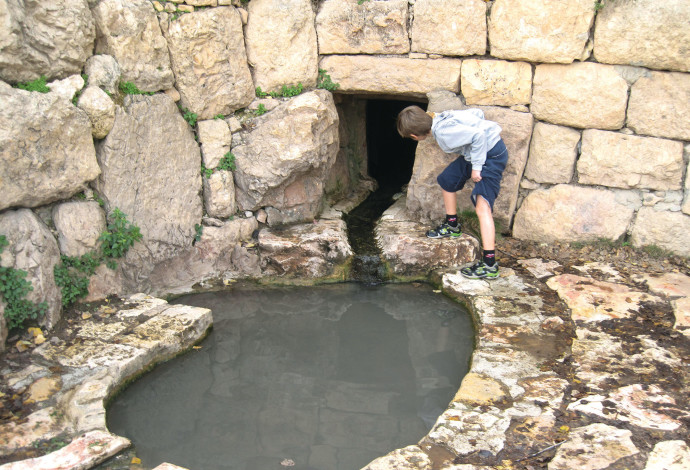 מעיינות הסטף (צילום:  פרטי)