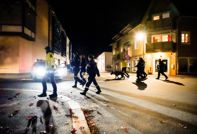 זירת האירוע בנורבגיה  (צילום:  Hakon Mosvold/NTB/via REUTERS)