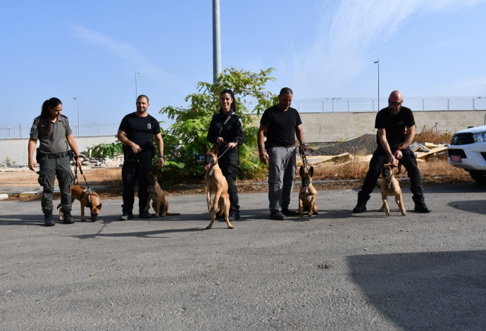 יחידת הכלבנים של המשטרה (צילום:  דוברות המשטרה)