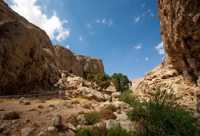 שמורת עין פרת  (צילום:  דורון ניסים)