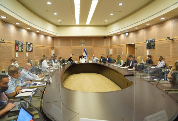 הוועדה לביטחון פנים (צילום:  דני שם טוב, דוברות הכנסת)