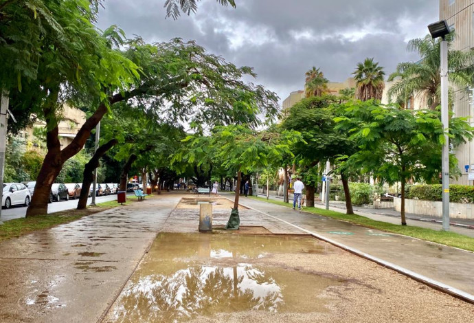 מעונן וגשום בתל אביב (צילום:  אבשלום ששוני)