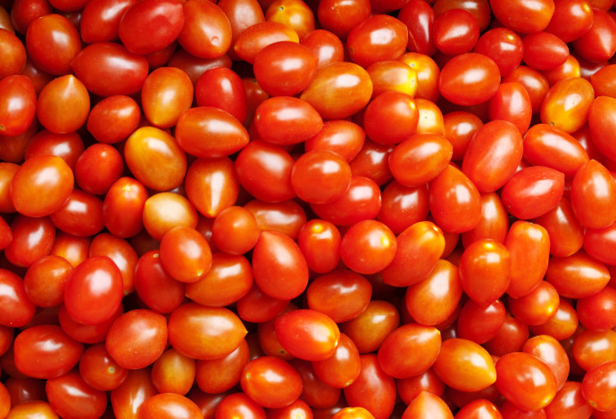 עגבניות שרי (אילוסטרציה) (צילום:  אינגאימג')