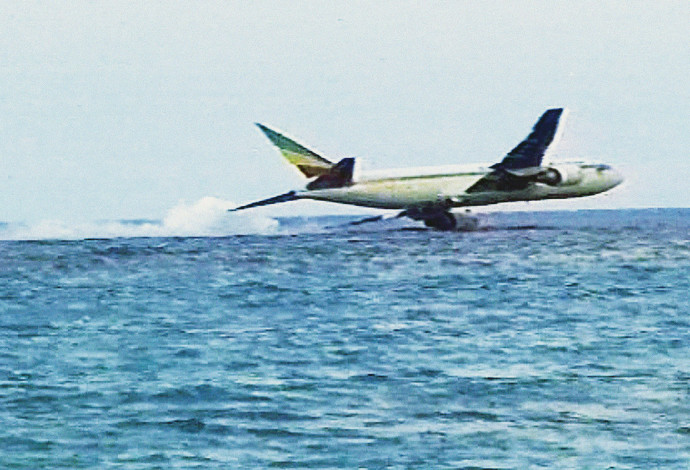 התרסקות המטוס באיי קומורו (צילום:  צילום מסך)