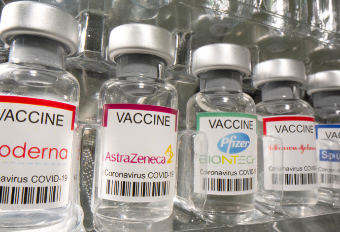 חיסונים נגד הקורונה (צילום:  REUTERS/Dado Ruvic)