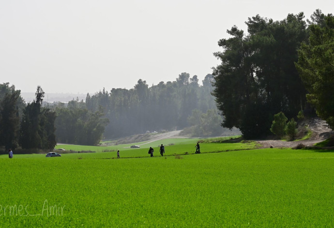 מטיילים על רקע נוף ירוק ביער בן שמן (צילום:  הרמס אמיר, קק"ל)