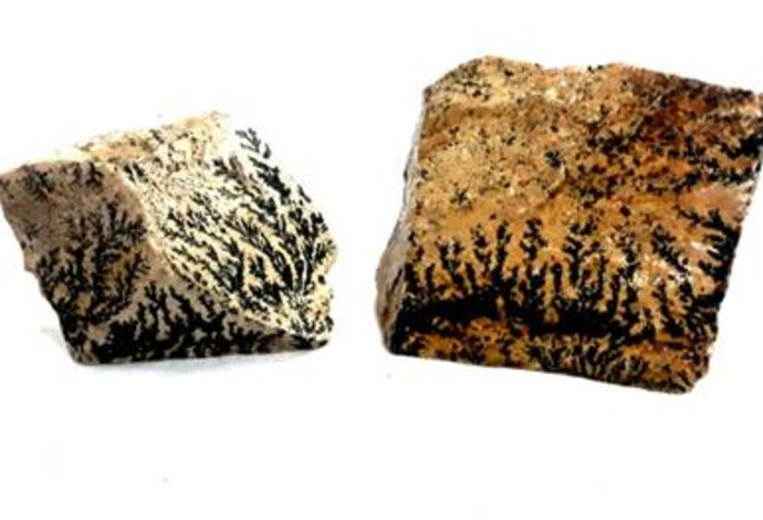 האבנים המסתוריות  (צילום:  בידספיריט)