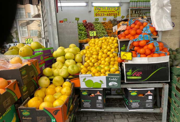 פירות  (למצולמים אין קשר לכתבה) (צילום: אבשלום ששוני)