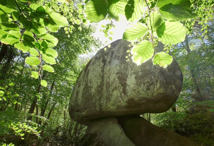 הסלע שבתמונה שוקל 137 טונות (צילום:  Getty images)