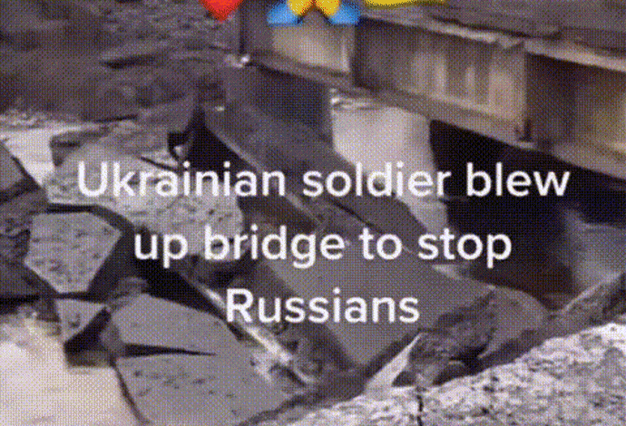 המלחמה בין רוסיה לאוקראינה מתנהלת ברשת (צילום:  צילום מסך טיקטוק)