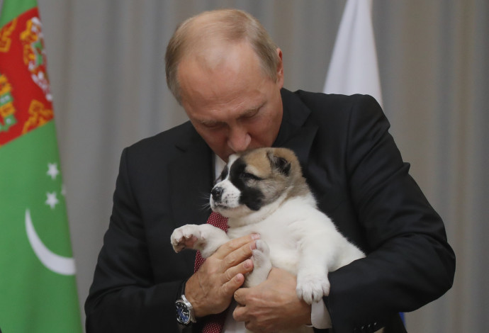 נשיא רוסיה אוהב כלבים (צילום:  רויטרס)