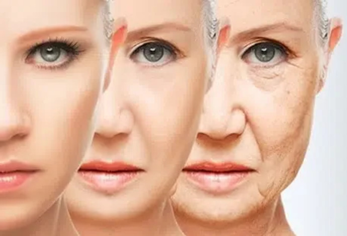 תהליך הזדקנות, אילוסטרציה (צילום:  Getty images)