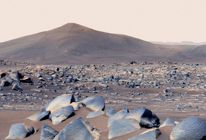 מאדים כפי שצולם ע"י הנחתת של נאס"א (צילום:  NASA/JPL-Caltech/ASU/MSSS)