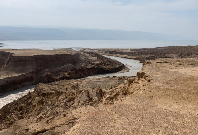 שפך הירדן בצפון ים המלח  (צילום:  אבי חיים)