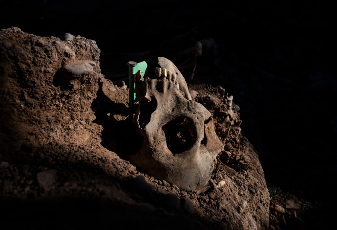 גולגולת בת 8,000 שנה נמצאה בקרקעית נהר (צילום:  Getty images)