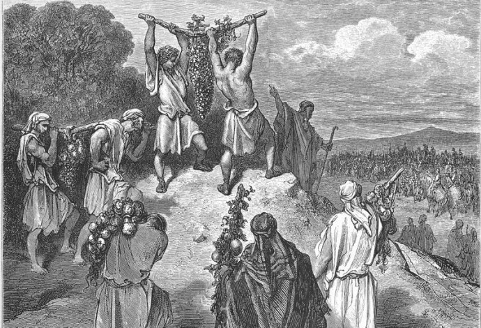 המרגלים מציגים בפני בני ישראל מפרי הארץ. איור מאת גוסטב דורה (צילום:  ויקיפדיה)