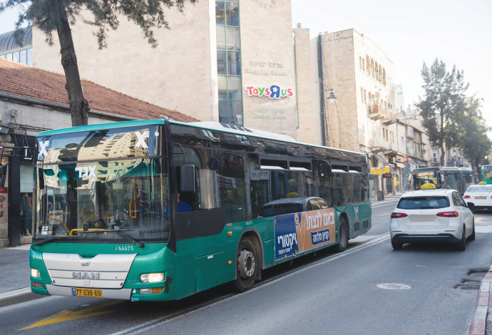 אוטובוסים  (צילום:  יונתן זינדל)