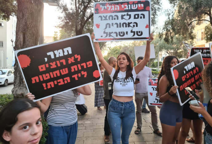 הפגנה נגד בניית בית מטבחיים בגליל (צילום:  אביגיל גזית)