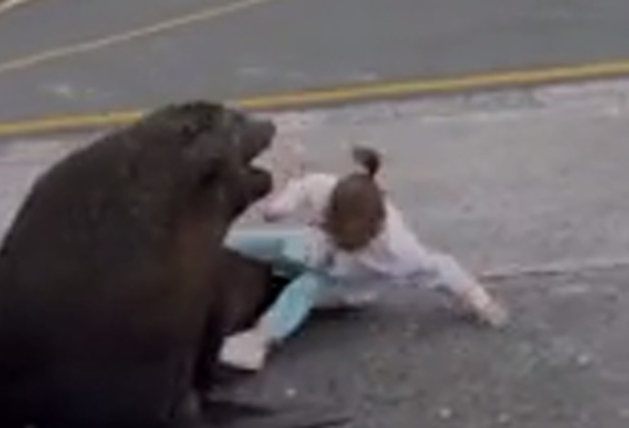 הילדה ניסתה להתיישב על חיית הבר, והיא כמעט תקפה אותה בתגובה (צילום:  מתוך פייסבוק)