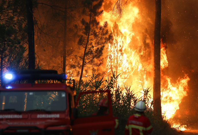 שריפת ענק בפורטוגל (צילום:  REUTERS/Rodrigo Antunes)