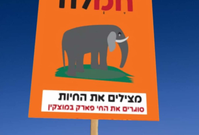 מחאה נגד החי פארק בקרית מוצקין (צילום:  שאניקווה דבורקין)