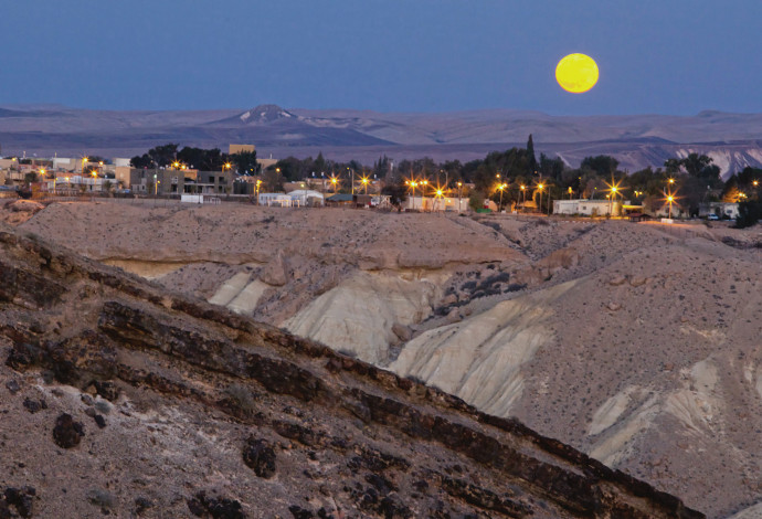 סיור לילה בנחל חווארים (צילום:  זיו שרצר, בית ספר שדה שדה-בוקר)