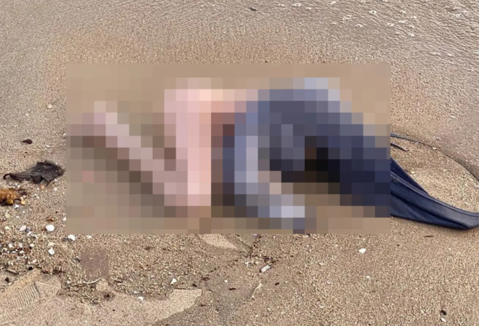 גופה אותרה על החוף, השוטרים גילו מה הסתתר מאחוריה (צילום:  מתוך פייסבוק)