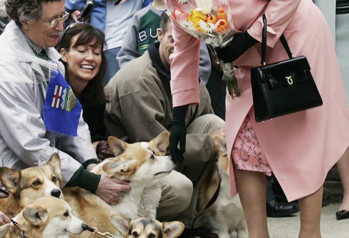 המלכה אליזבת השנייה לצד כלבי קורגי (צילום:  REUTERS/Andy Clark AC)