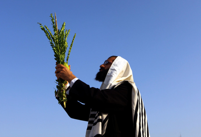 ארבעת המינים (צילום:  אביר סולטן, פלאש 90)