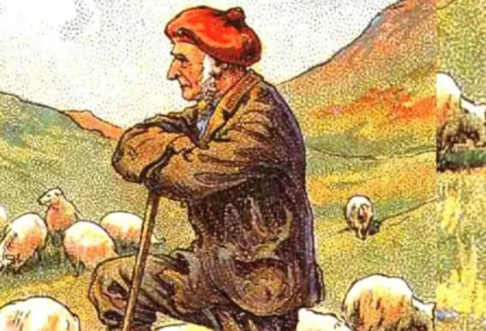 כלב הרועים הלך לאיבוד, עזרו לנו למצוא אותו (צילום:  מתוך טיקטוק)