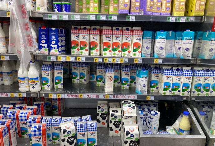 חלב בסופרמרקט (צילום:  אבשלום ששוני)