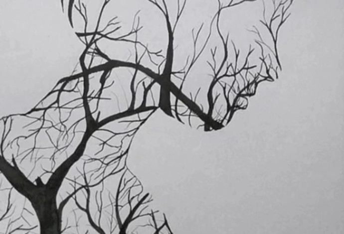 ענפי עצים על רקע שמיים אפורים או פרופיל של אישה? (צילום:  מתוך טיקטוק)