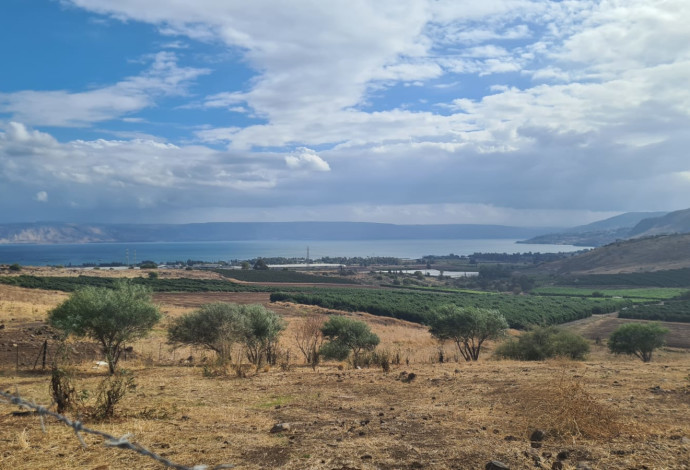 נוף הכנרת מגבעת ליבנים (צילום:  דנה בכר, איגוד ערים כינרת)