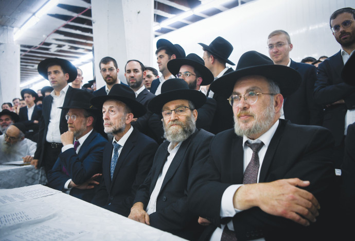 סיעת דגל התורה (צילום:  אריה לייב אברמס)