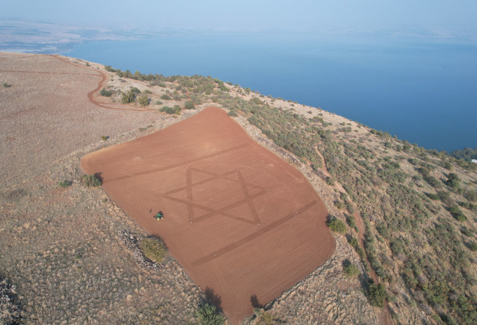 דגל ישראל בשדה החיטה (צילום:  אסף טריפון)