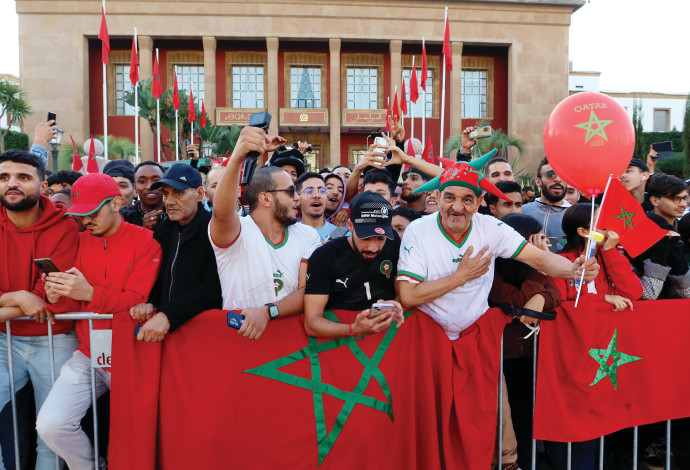 אוהדי נבחרת מרוקו  (צילום:  רויטרס)