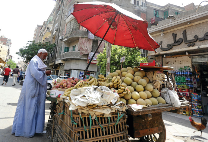 מוכר ממתין ללקוחות ברחוב בקהיר (צילום:  רויטרס)