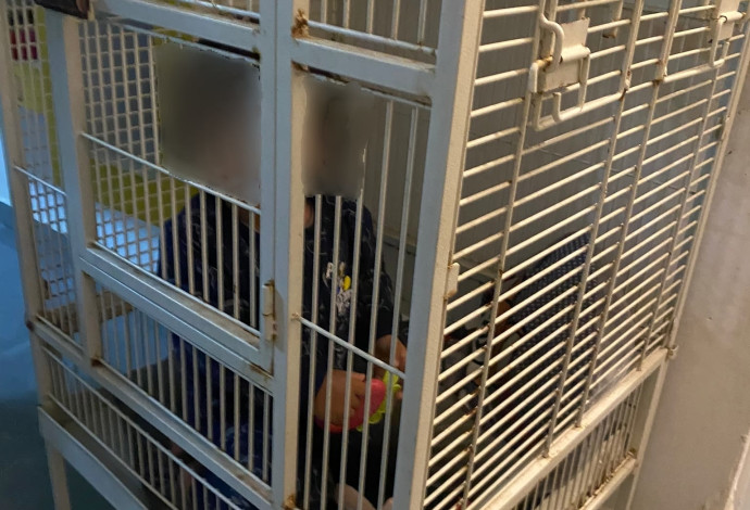 הכלוב בו נמצא התינוק בדירה בחיפה (צילום:  דוברות המשטרה)