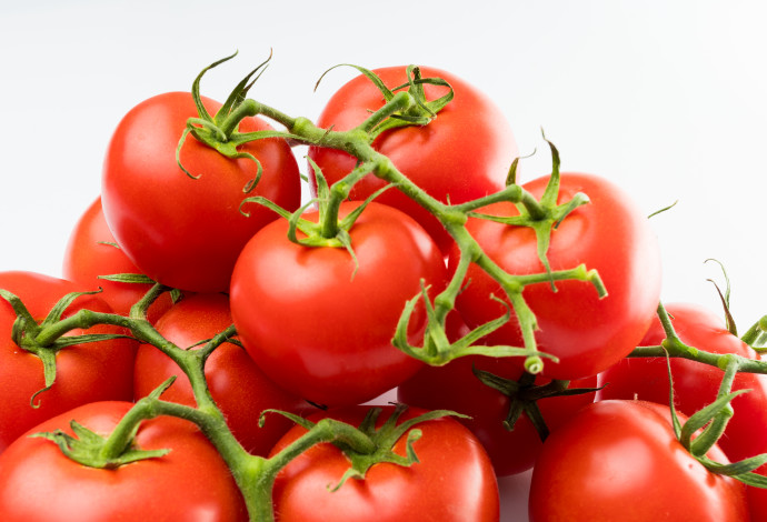 עגבניות (צילום:  אינג'אימג')